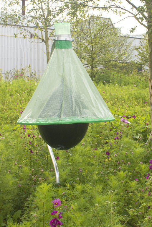 horse fly trap anchored in garden setting.